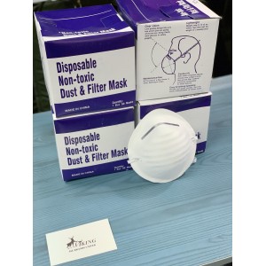 Nuisance Dust and Filter Mask (50pcs)